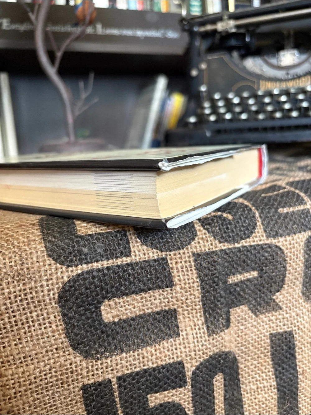 Guillebeau - “The $100 Startup” book